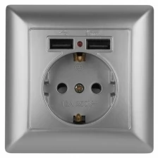 Розетка ЭРА Intro Solo Schuko P+E 16A 250V со шторками 2хUSB серебро 4-410-03 Б0043405