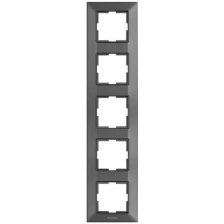 Рамка Panasonic Arkedia Slim (WNTF08152DG-RU) 5x верт.монт. пластик дымчатый (упак.:1шт)